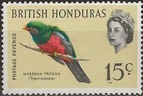 [Birds, type BY]