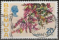 [Flowers, type GO]