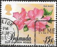 [Old Garden Roses, Scrivi OP]