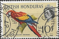 [Birds, ประเภท BX]
