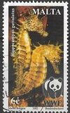 [WWF - Seahorse, typ AKI]