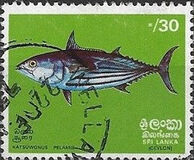 [Fish, տեսակ F]