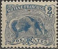 [Ant-Eater - Myrmecophage tridactyla, type H1]