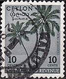 [Local Motifs, type CM]