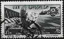 [The 9th Anniversary of the Revolution, type CR]