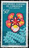 [Flowers, type FN]