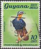 [selvaggina, Scrivi BH]