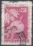 [The 100th Anniversary of the City of Ribeirao Preto, type AHF]