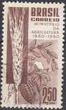 [The 100th Anniversary of the Brazilian Ministry of Agriculture, тып AJR]