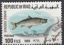 [Fish, type GW]