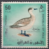 [Iraqi Birds, type GF]