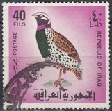 [Iraqi Birds, type GE]