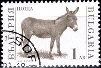 [Domestic Animals, タイプ EMB]