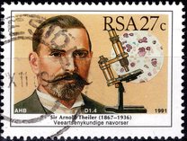 [South African Scientists, տեսակ ABB]