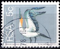 [Flora and Fauna, type NK]