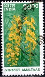 [Fauna y flora., tipo BJH]