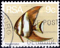 [Flora and Fauna, type NN]