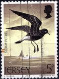 [Seabirds, type CR]