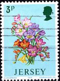 [Spring Flowers, type BR]