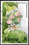 [Flowers, typ IL]