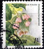 [Flowers, type MA]