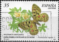 [Rare Species, type EFY]