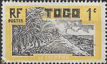 [Palm Trees, type G]