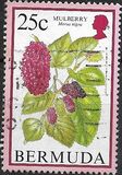[Flowering Fruits, type TV]