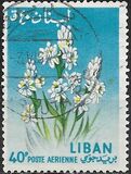 [Airmail - Flowers, type KV]