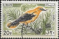 [Birds, type LV]