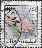 [Airmail - Previous Stamps Overprinted in Different Colors, type XXA11]