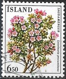 [Plants, Tipe OA]