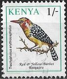 [Birds, type VB]