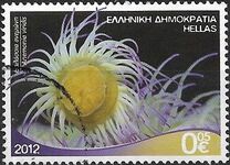 [Marine Life - Riches of the Greek Seas, type CEJ]
