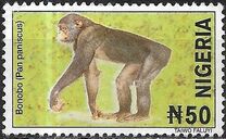 [Wildlife, प्रकार YV]