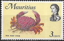 [Marine Life, Tipi EY]