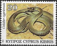 [Reptiles, 유형 XD]