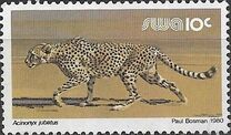 [Wild Mammals, tyyppi HR]