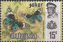 [Butterflies, type AZ]