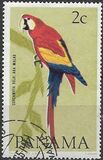 [Birds, Tip RD]
