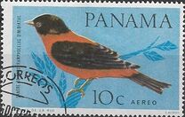 [Birds, Tip RH]