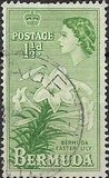 [Local Motives and Queen Elizabeth II, type AZ]