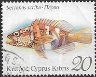 [Fish, Tipe XR]