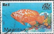 [Fish, type AAT]