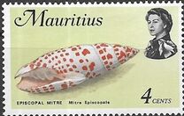 [Marine Life, type EZ]