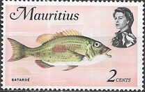 [Marine Life, type EX]