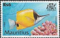 [Fish, type AAY]