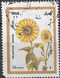 [Flora, type ZV]