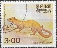 [Animals, Typ DI1]