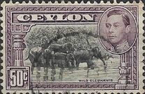 [King George VI - Local Motives, 類型 BV]